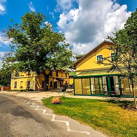 Johanka Kamenice nad Lipou